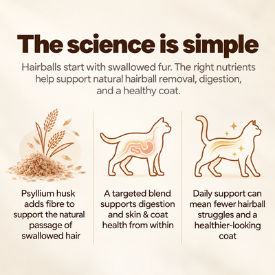 Stop the Silent Deficiency Before You See the Signs with  SNOOTKIN™  Hairball & Digestive Health Formula