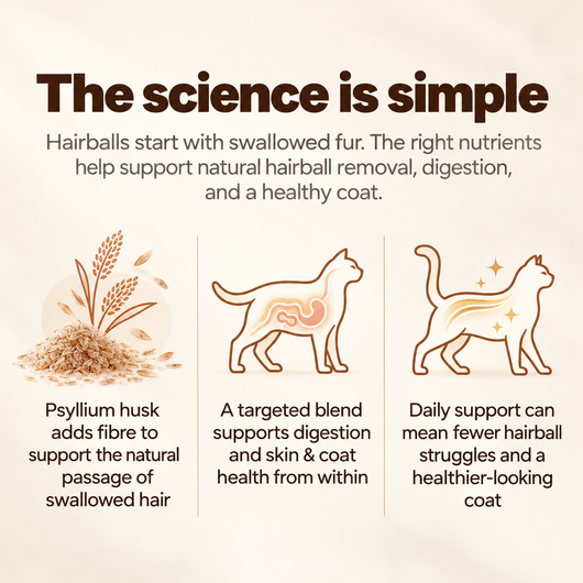 Stop the Silent Deficiency Before You See the Signs with  SNOOTKIN™  Hairball & Digestive Health Formula