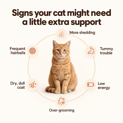 Stop the Silent Deficiency Before You See the Signs with  SNOOTKIN™  Hairball & Digestive Health Formula