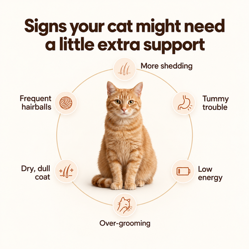 Stop the Silent Deficiency Before You See the Signs with  SNOOTKIN™  Hairball & Digestive Health Formula