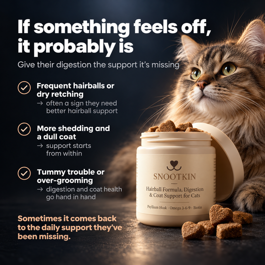 Stop the Silent Deficiency Before You See the Signs with  SNOOTKIN™  Hairball & Digestive Health Formula
